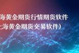 上海黄金期货行情期货软件(上海黄金期货交易软件)