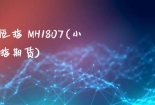 小恒指 MH1807(小恒指期货)