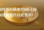 上海特斯拉股票代码(上海特斯拉股票代码是多少)