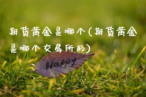 期货黄金是哪个(期货黄金是哪个交易所的)_恒生指数_第1张_原油期货直播室 期货黄金是哪个(期货黄金是哪个交易所的)_https://www.yunyouns.com_恒生指数_第1张
