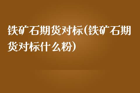 铁矿石期货对标(铁矿石期货对标什么粉)_https://www.yunyouns.com_股指期货_第1张