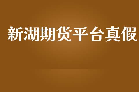新湖期货平台真假_https://www.yunyouns.com_股指期货_第1张