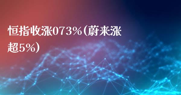 恒指收涨073%(蔚来涨超5%)_https://www.yunyouns.com_期货直播_第1张