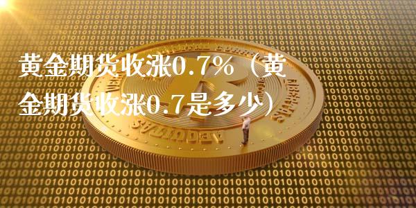 黄金期货收涨0.7%（黄金期货收涨0.7是多少）_https://www.yunyouns.com_期货行情_第1张