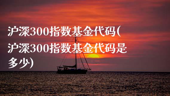 沪深300指数基金代码(沪深300指数基金代码是多少)_https://www.yunyouns.com_股指期货_第1张