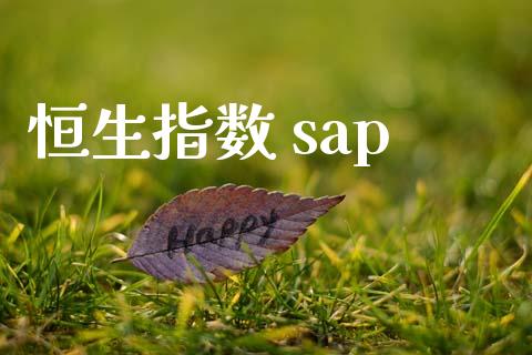 恒生指数 sap_https://www.yunyouns.com_股指期货_第1张