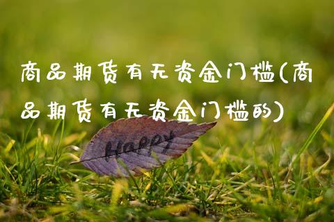 商品期货有无资金门槛(商品期货有无资金门槛的)_https://www.yunyouns.com_期货行情_第1张