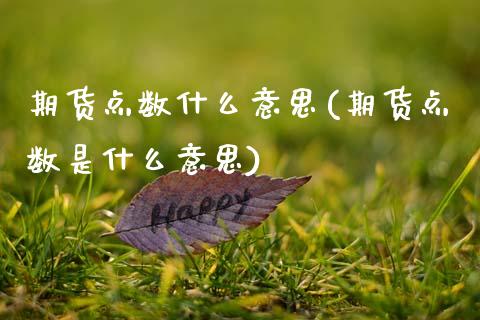 期货点数什么意思(期货点数是什么意思)_https://www.yunyouns.com_股指期货_第1张