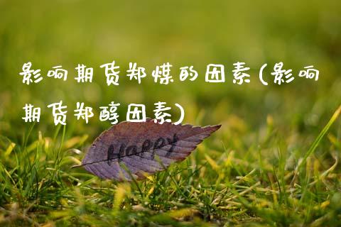 影响期货郑煤的因素(影响期货郑醇因素)_https://www.yunyouns.com_期货行情_第1张