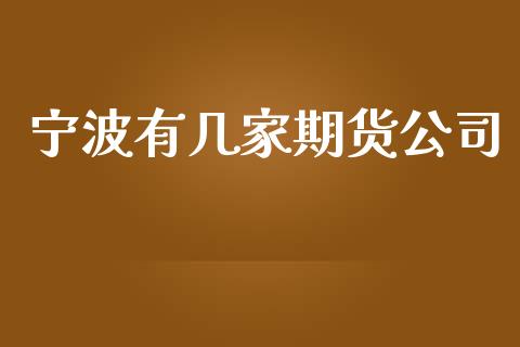 宁波有几家期货公司_https://www.yunyouns.com_股指期货_第1张