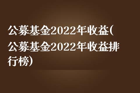 公募基金2022年收益(公募基金2022年收益排行榜)_https://www.yunyouns.com_股指期货_第1张