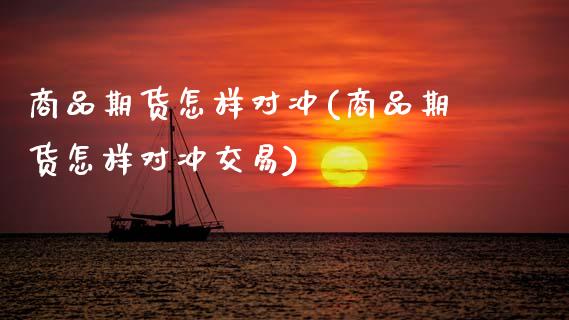 商品期货怎样对冲(商品期货怎样对冲交易)_期货直播_第1张_原油期货直播室 商品期货怎样对冲(商品期货怎样对冲交易)_https://www.yunyouns.com_期货直播_第1张