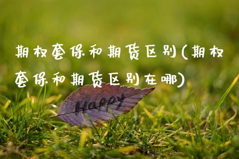 期权套保和期货区别(期权套保和期货区别在哪)_期货直播_第1张_原油期货直播室 期权套保和期货区别(期权套保和期货区别在哪)_https://www.yunyouns.com_期货直播_第1张