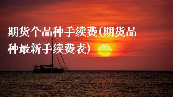 期货个品种手续费(期货品种最新手续费表)_https://www.yunyouns.com_恒生指数_第1张