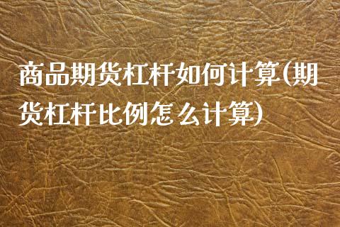商品期货杠杆如何计算(期货杠杆比例怎么计算)_https://www.yunyouns.com_期货直播_第1张