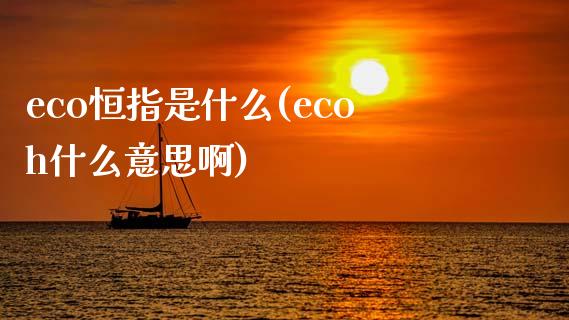 eco恒指是什么(ecoh什么意思啊)_https://www.yunyouns.com_股指期货_第1张