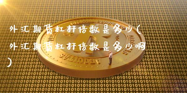 外汇期货杠杆倍数是多少(外汇期货杠杆倍数是多少啊)_https://www.yunyouns.com_期货直播_第1张