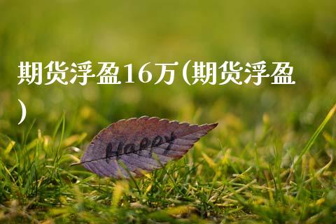 期货浮盈16万(期货浮盈)_https://www.yunyouns.com_股指期货_第1张