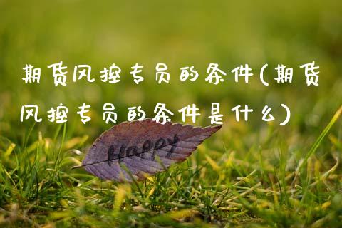 期货风控专员的条件(期货风控专员的条件是什么)_期货直播_第1张_原油期货直播室 期货风控专员的条件(期货风控专员的条件是什么)_https://www.yunyouns.com_期货直播_第1张