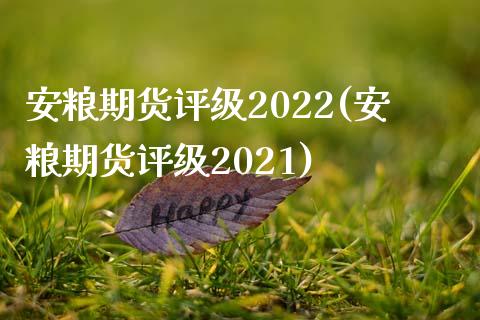 安粮期货评级2022(安粮期货评级2021)_https://www.yunyouns.com_期货直播_第1张