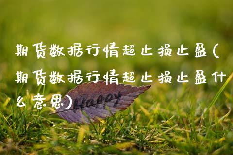 期货数据行情超止损止盈(期货数据行情超止损止盈什么意思)_期货直播_第1张_原油期货直播室 期货数据行情超止损止盈(期货数据行情超止损止盈什么意思)_https://www.yunyouns.com_期货直播_第1张