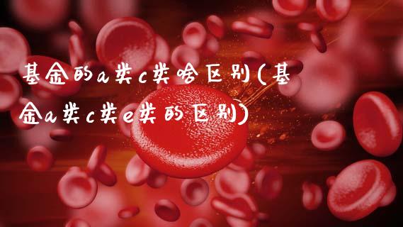 基金的a类c类啥区别(基金a类c类e类的区别)_https://www.yunyouns.com_恒生指数_第1张