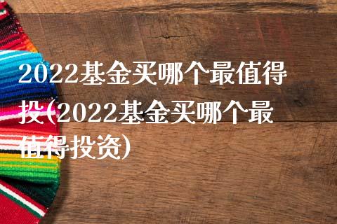 2022基金买哪个最值得投(2022基金买哪个最值得投资)_https://www.yunyouns.com_期货直播_第1张