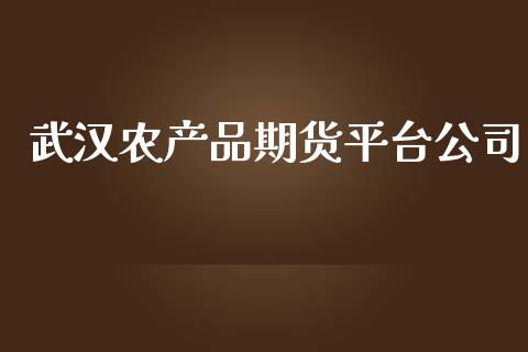 武汉农产品期货平台公司_https://www.yunyouns.com_恒生指数_第1张