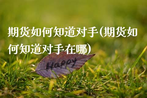 期货如何知道对手(期货如何知道对手在哪)_https://www.yunyouns.com_期货行情_第1张