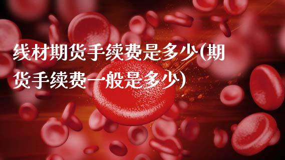 线材期货手续费是多少(期货手续费一般是多少)_https://www.yunyouns.com_期货直播_第1张