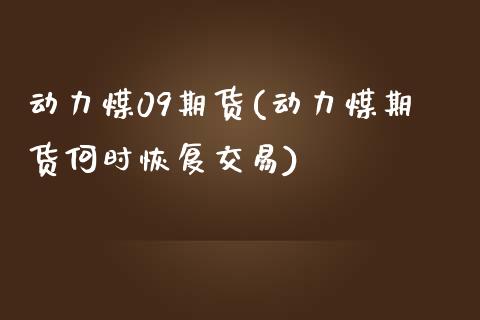动力煤09期货(动力煤期货何时恢复交易)_https://www.yunyouns.com_期货行情_第1张