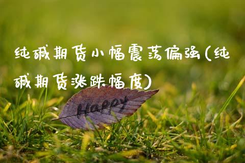 纯碱期货小幅震荡偏强(纯碱期货涨跌幅度)_https://www.yunyouns.com_恒生指数_第1张