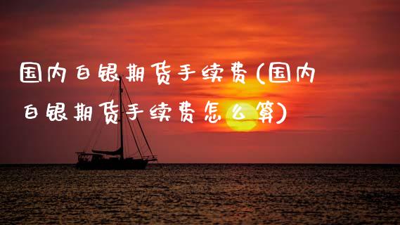国内白银期货手续费(国内白银期货手续费怎么算)_https://www.yunyouns.com_期货直播_第1张