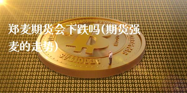 郑麦期货会下跌吗(期货强麦的走势)_https://www.yunyouns.com_期货行情_第1张