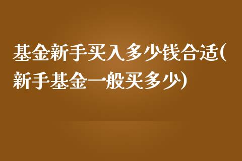 基金新手买入多少钱合适(新手基金一般买多少)_恒生指数_第1张_原油期货直播室 基金新手买入多少钱合适(新手基金一般买多少)_https://www.yunyouns.com_恒生指数_第1张