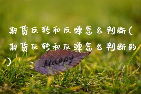 期货反转和反弹怎么判断(期货反转和反弹怎么判断的)_https://www.yunyouns.com_期货直播_第1张