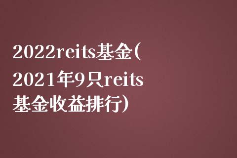 2022reits基金(2021年9只reits基金收益排行)_https://www.yunyouns.com_恒生指数_第1张