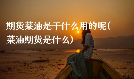期货菜油是干什么用的呢(菜油期货是什么)_https://www.yunyouns.com_股指期货_第1张