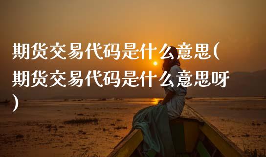 期货交易代码是什么意思(期货交易代码是什么意思呀)_期货行情_第1张_原油期货直播室 期货交易代码是什么意思(期货交易代码是什么意思呀)_https://www.yunyouns.com_期货行情_第1张