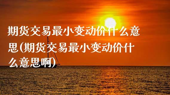 期货交易最小变动价什么意思(期货交易最小变动价什么意思啊)_https://www.yunyouns.com_恒生指数_第1张