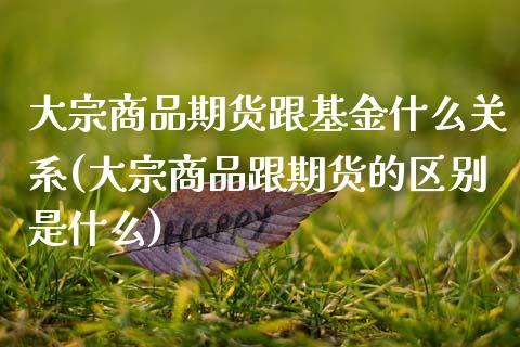 大宗商品期货跟基金什么关系(大宗商品跟期货的区别是什么)_https://www.yunyouns.com_期货行情_第1张