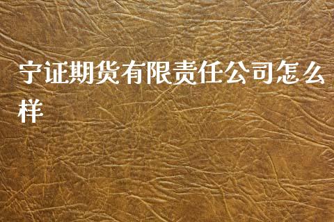 宁证期货有限责任公司怎么样_https://www.yunyouns.com_恒生指数_第1张