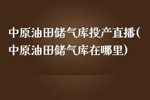 储气库投产直播(储气库在哪里)_https://www.yunyouns.com_恒生指数_第1张