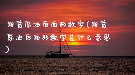 期货原油后面的数字(期货原油后面的数字是什么意思)_https://www.yunyouns.com_期货行情_第1张