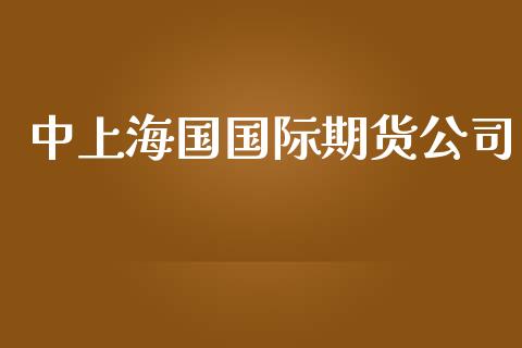 中上海国国际期货公司_https://www.yunyouns.com_股指期货_第1张