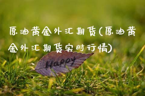 原油黄金外汇期货(原油黄金外汇期货实时行情)_https://www.yunyouns.com_恒生指数_第1张