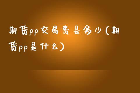 期货pp交易费是多少(期货pp是什么)_https://www.yunyouns.com_恒生指数_第1张