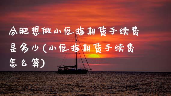 合肥想做小恒指期货手续费是多少(小恒指期货手续费怎么算)_https://www.yunyouns.com_期货直播_第1张