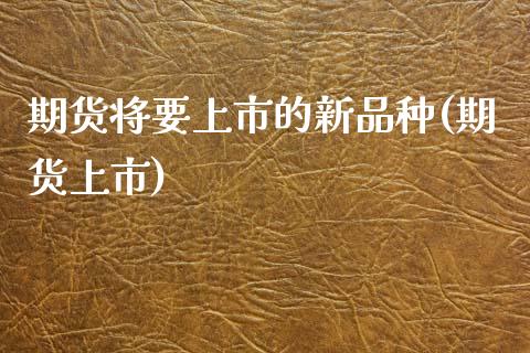 期货将要上市的新品种(期货上市)_https://www.yunyouns.com_恒生指数_第1张