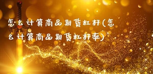 怎么计算商品期货杠杆(怎么计算商品期货杠杆率)_https://www.yunyouns.com_期货行情_第1张